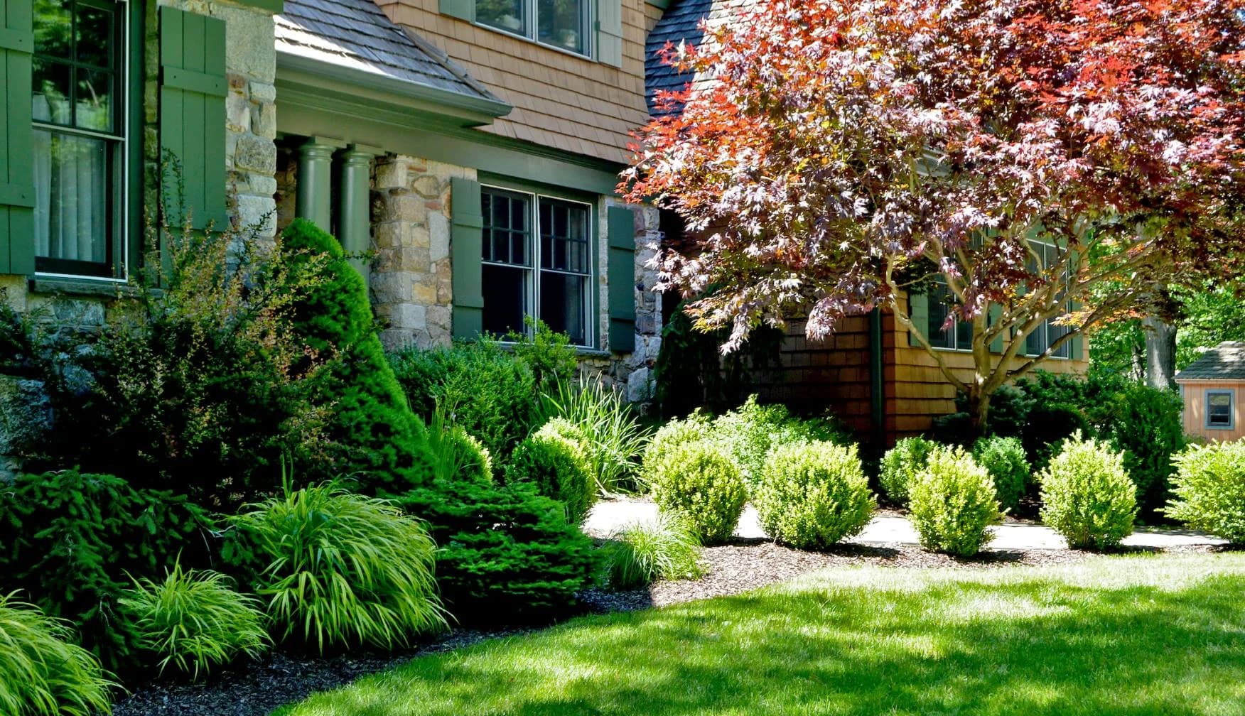 Tree & Shrub Planting Services in Forest Grove, Oregon