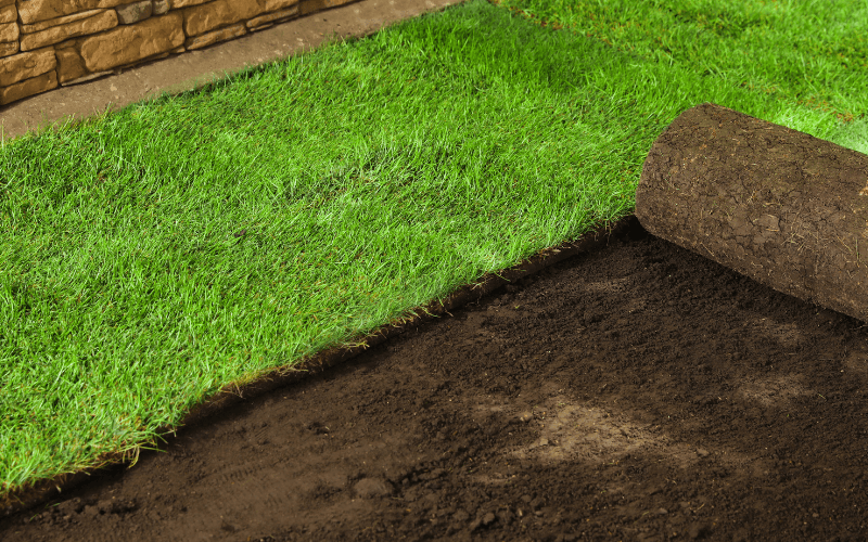 Sod Installation Services in Forest Grove, Oregon