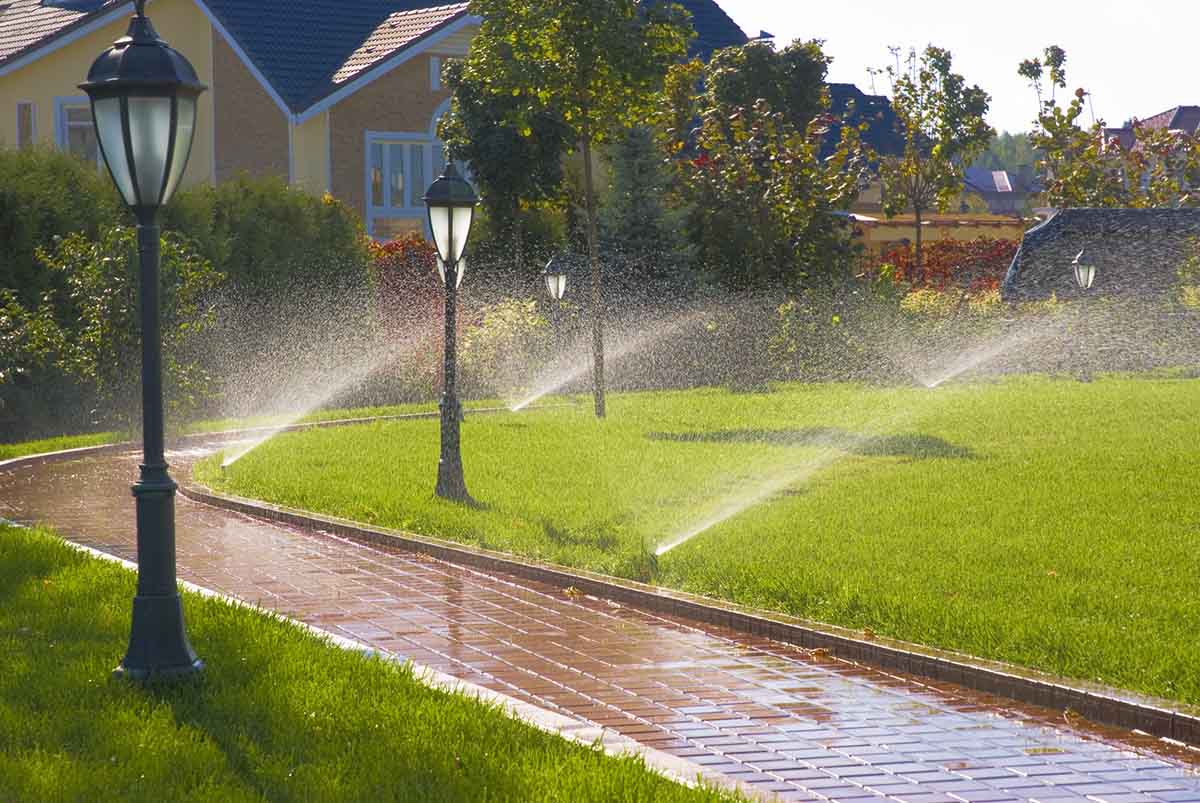 Irrigation System Installation project 1