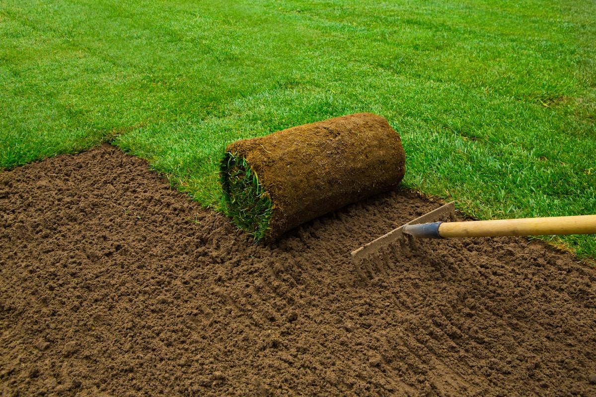Sod Installation project 3